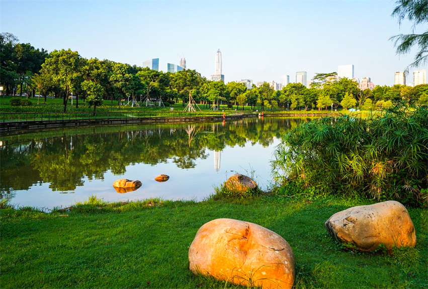 福田中心公園景觀建設項目